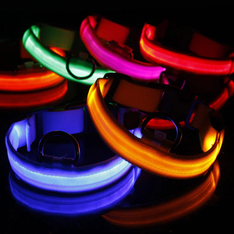 LED Dog Collar  Waterproof