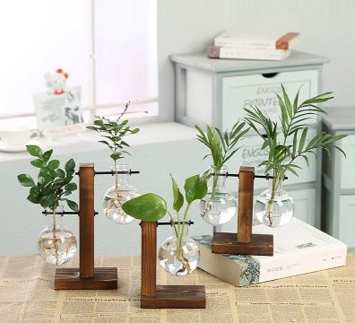 Hydroponic Transparent Plant Vases