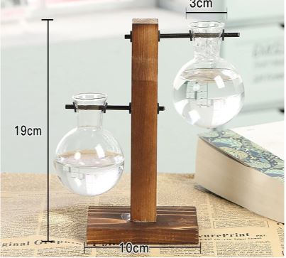 Hydroponic Transparent Plant Vases