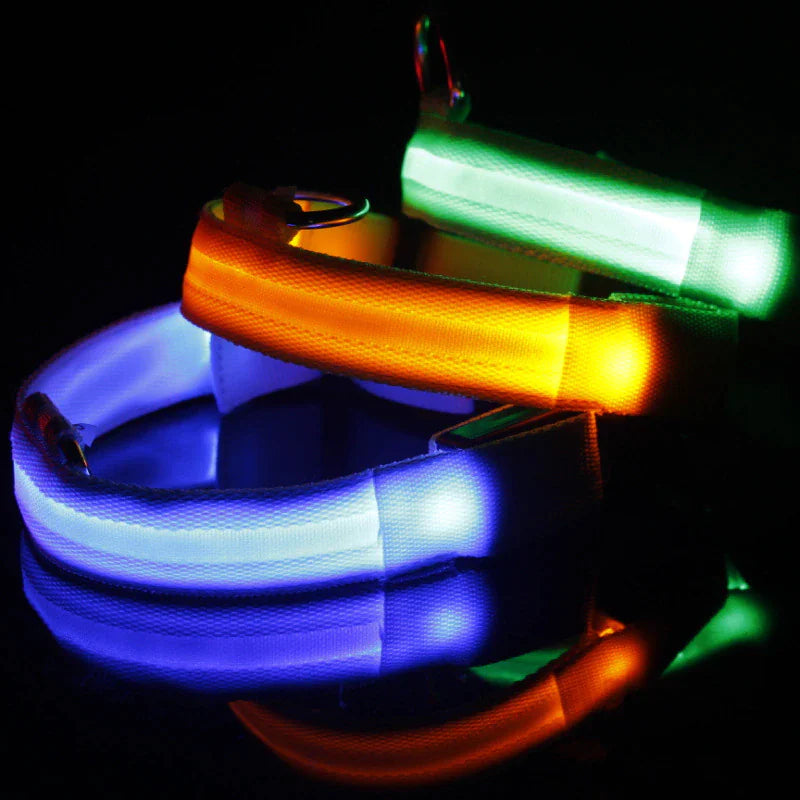 LED Dog Collar  Waterproof