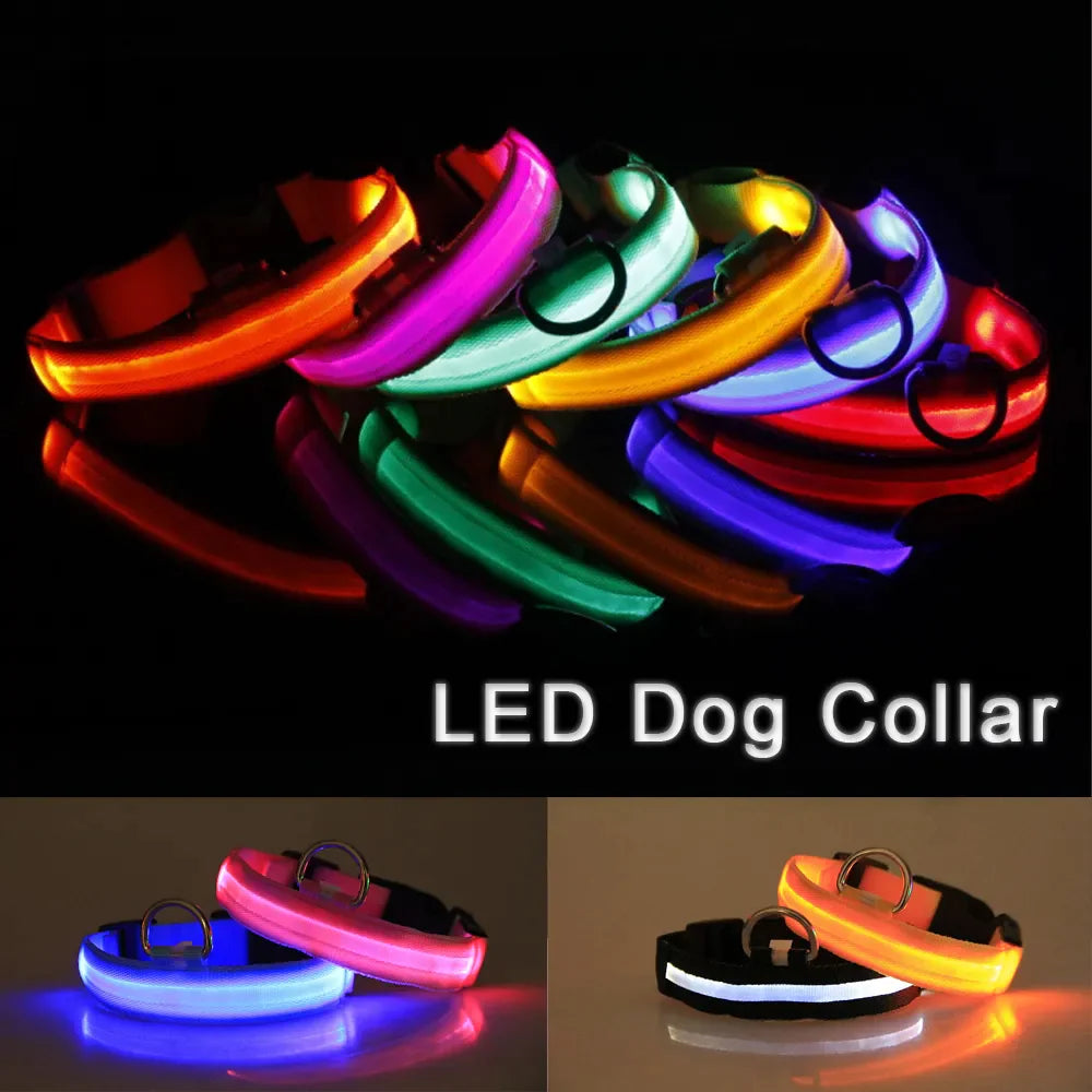 LED Dog Collar  Waterproof