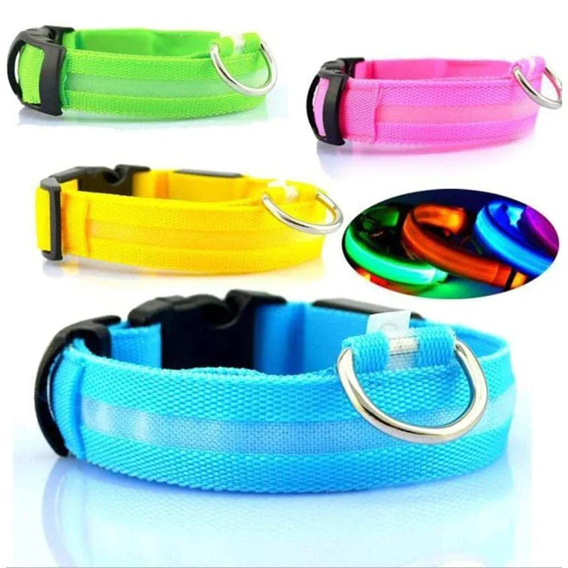 LED Dog Collar  Waterproof