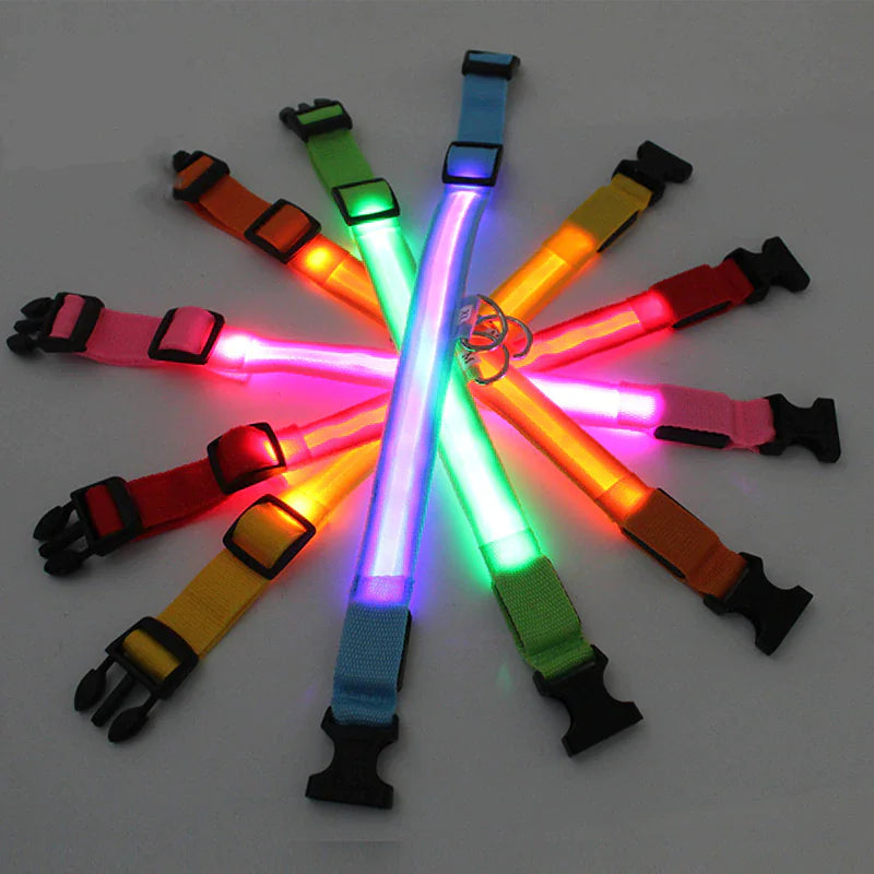 LED Dog Collar  Waterproof