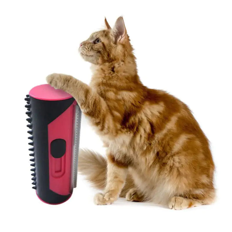 Pet Shedding Cleaner Brush