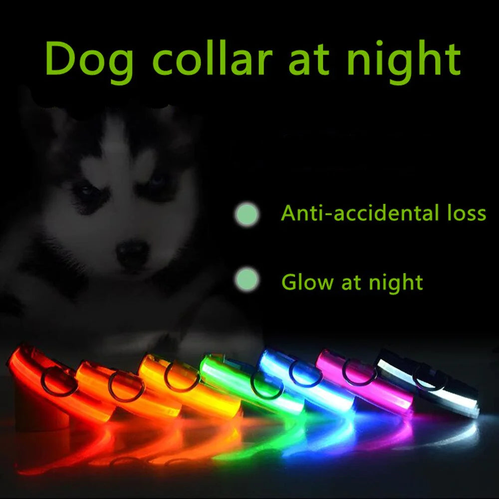 LED Dog Collar  Waterproof
