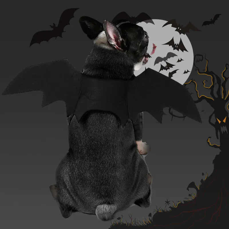 Halloween Pet Bat Wings Costume for Dogs and Cats
