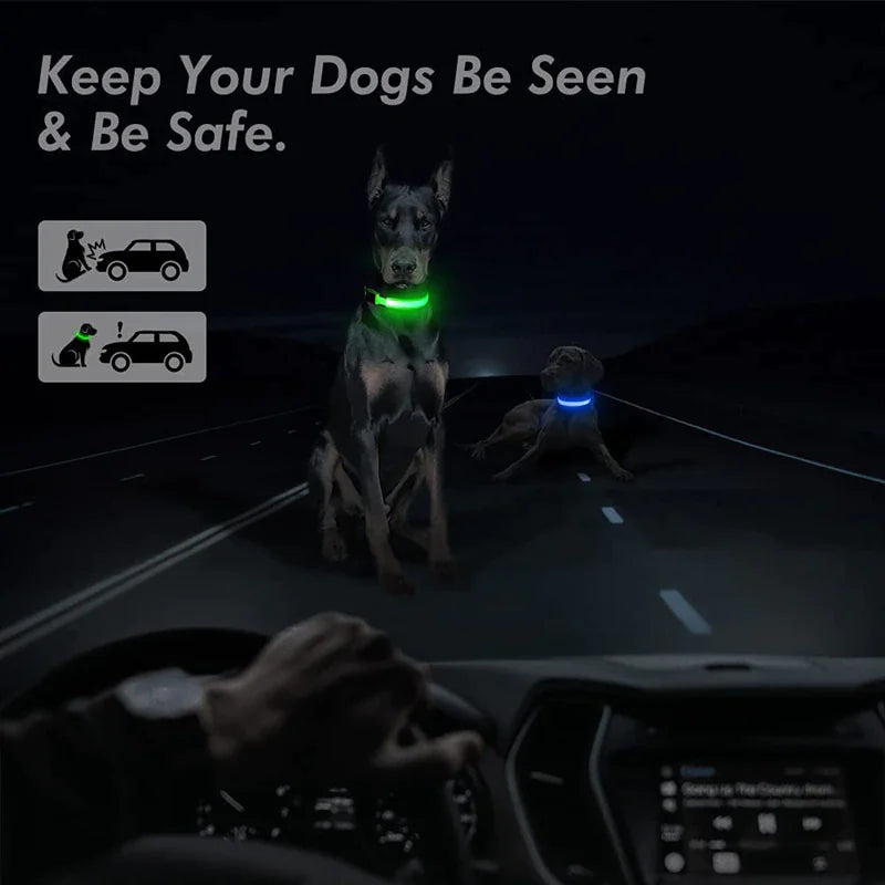 LED Dog Collar  Waterproof