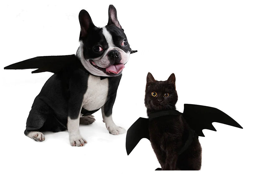Halloween Pet Bat Wings Costume for Dogs and Cats