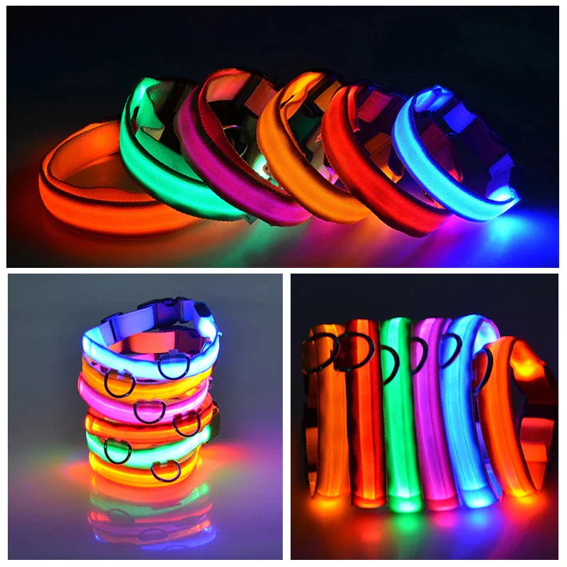 LED Dog Collar  Waterproof