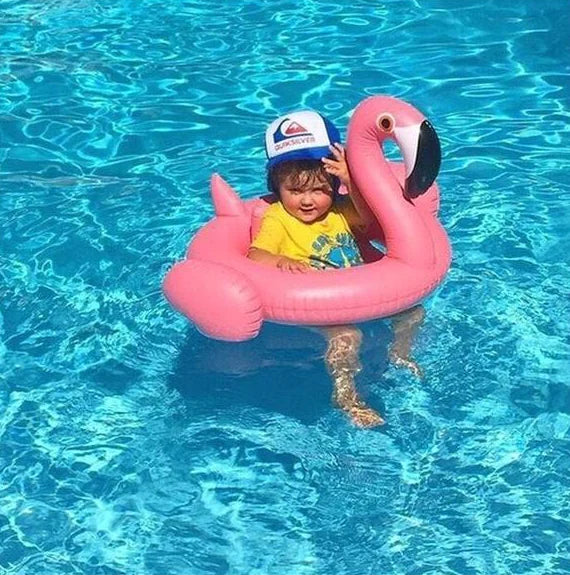 Baby Swimming Ring with Flamingo Car Shade Seat
