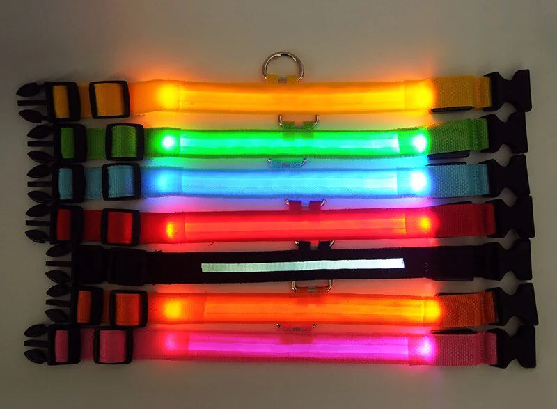 LED Dog Collar  Waterproof