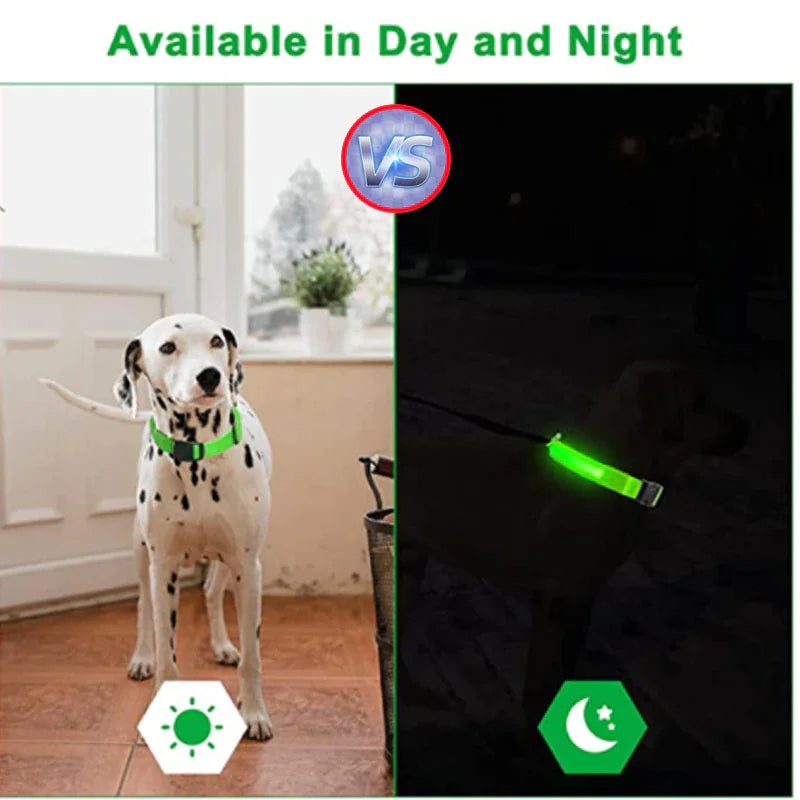 LED Dog Collar  Waterproof