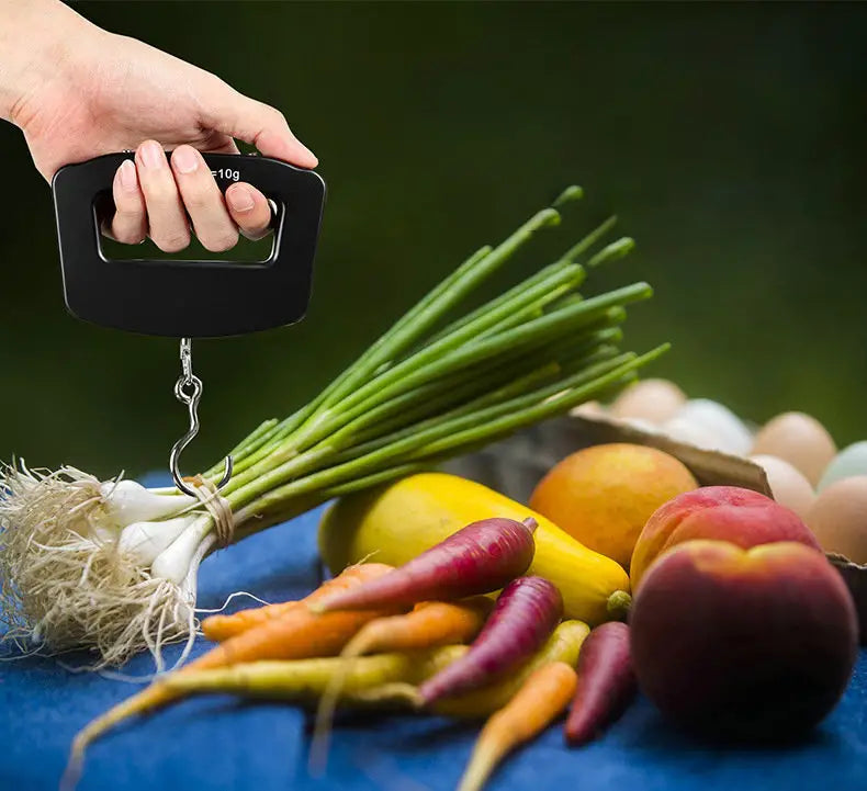 Portable Digital Hook Scale