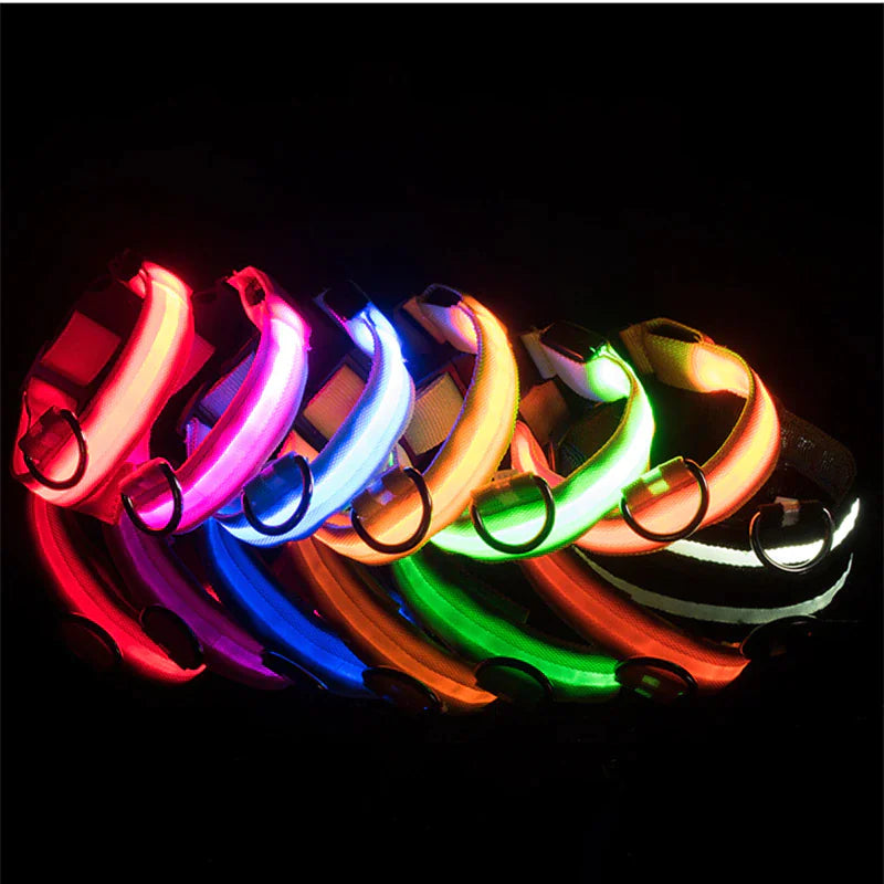 LED Dog Collar  Waterproof