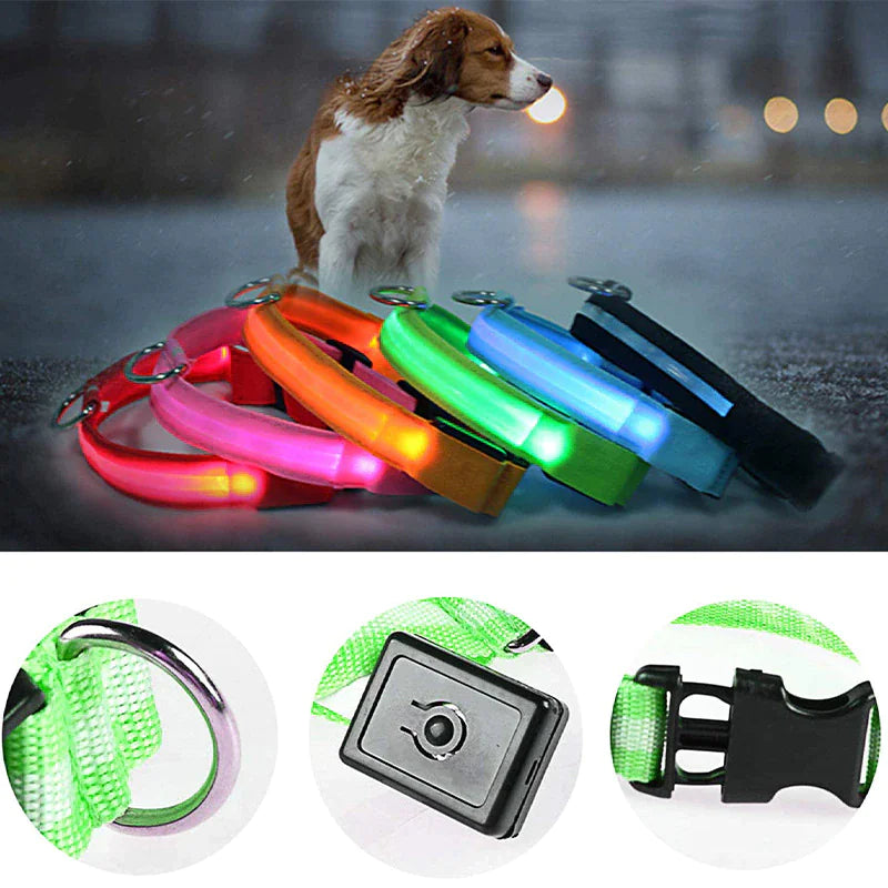 LED Dog Collar  Waterproof