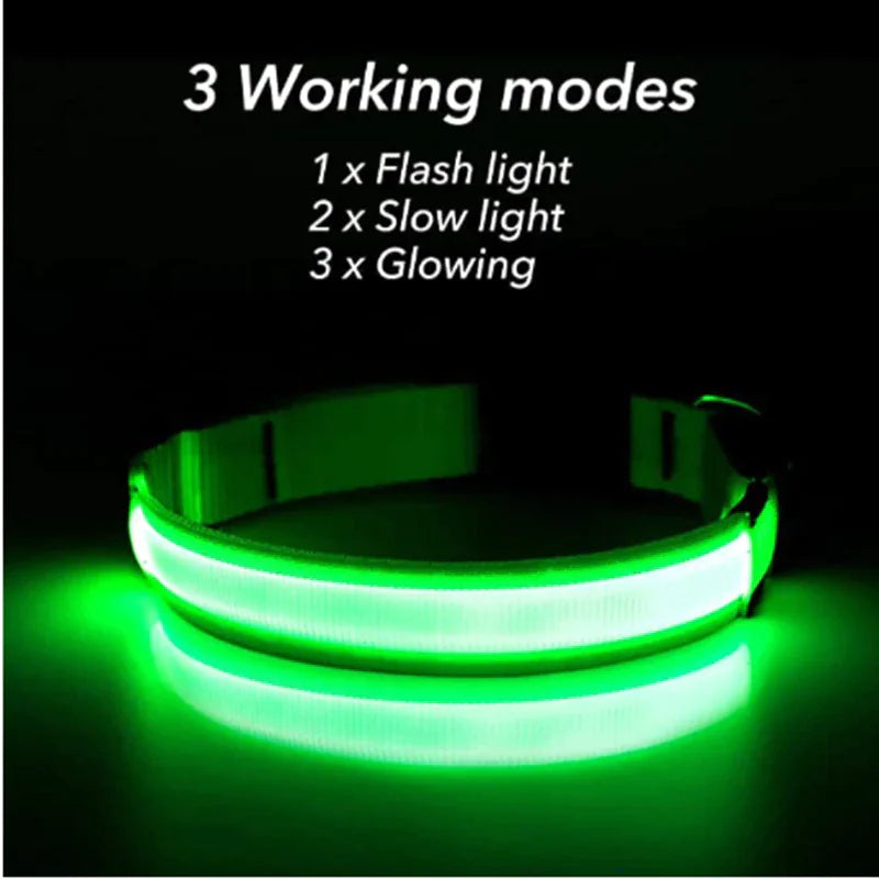 LED Dog Collar  Waterproof