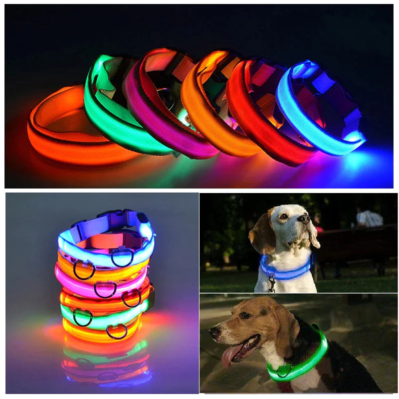 LED Dog Collar  Waterproof