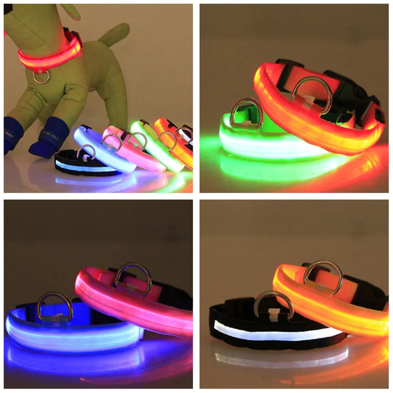 LED Dog Collar  Waterproof