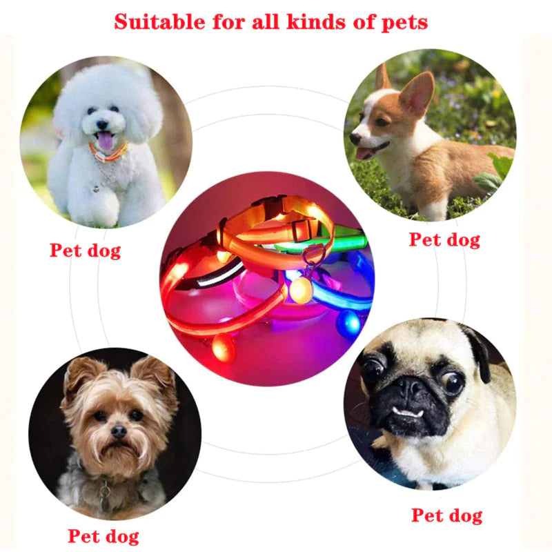 LED Dog Collar  Waterproof