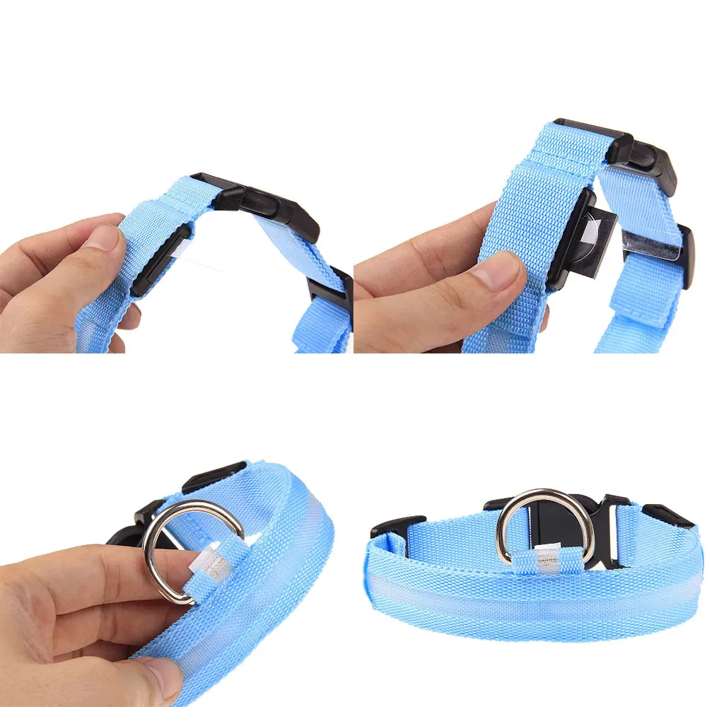 LED Dog Collar  Waterproof