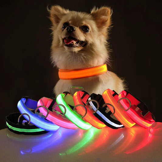 LED Dog Collar  Waterproof